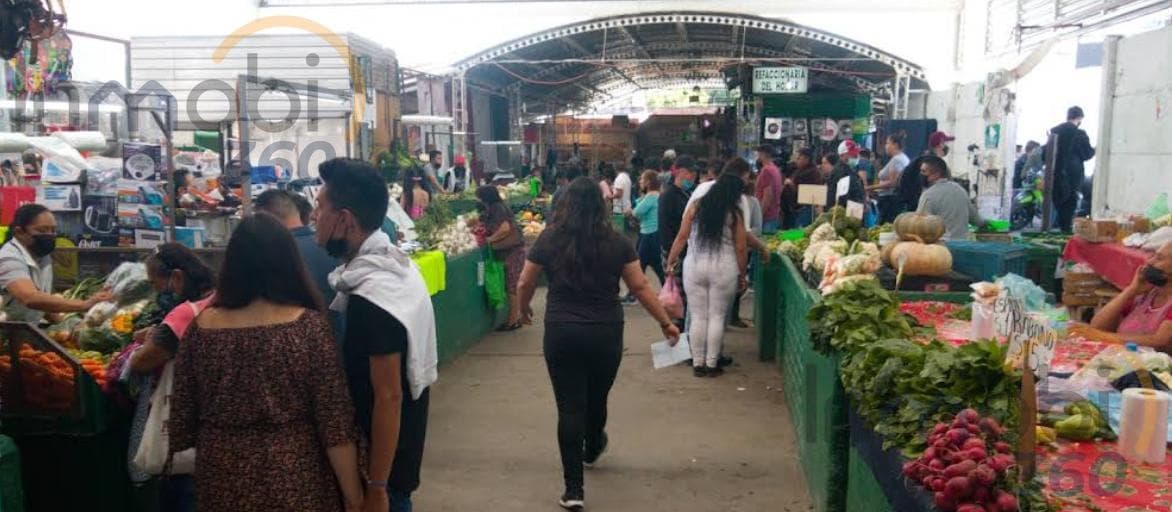 Transfer of Rights in Real de Abajo,