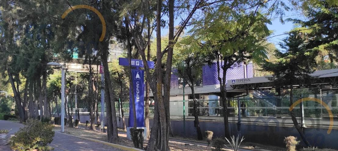 Transfer of Rights in Xochimilco