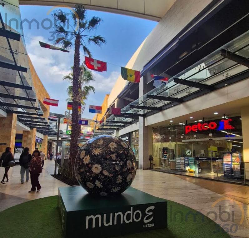 Transfer of Rights on Dorados Street