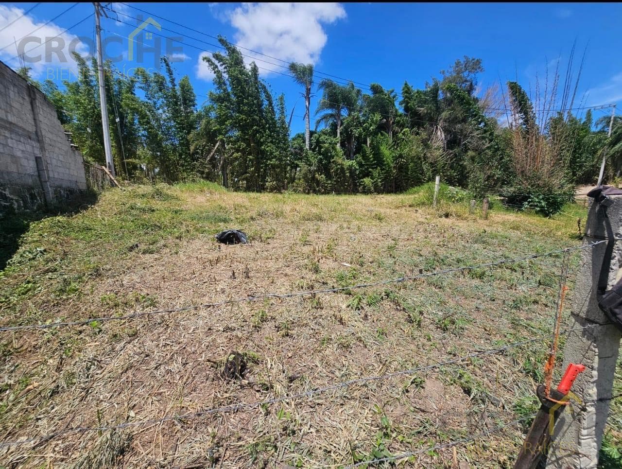 RURAL LAND FOR SALE IN THE LAGUNA DEL CASTILLO AREA
