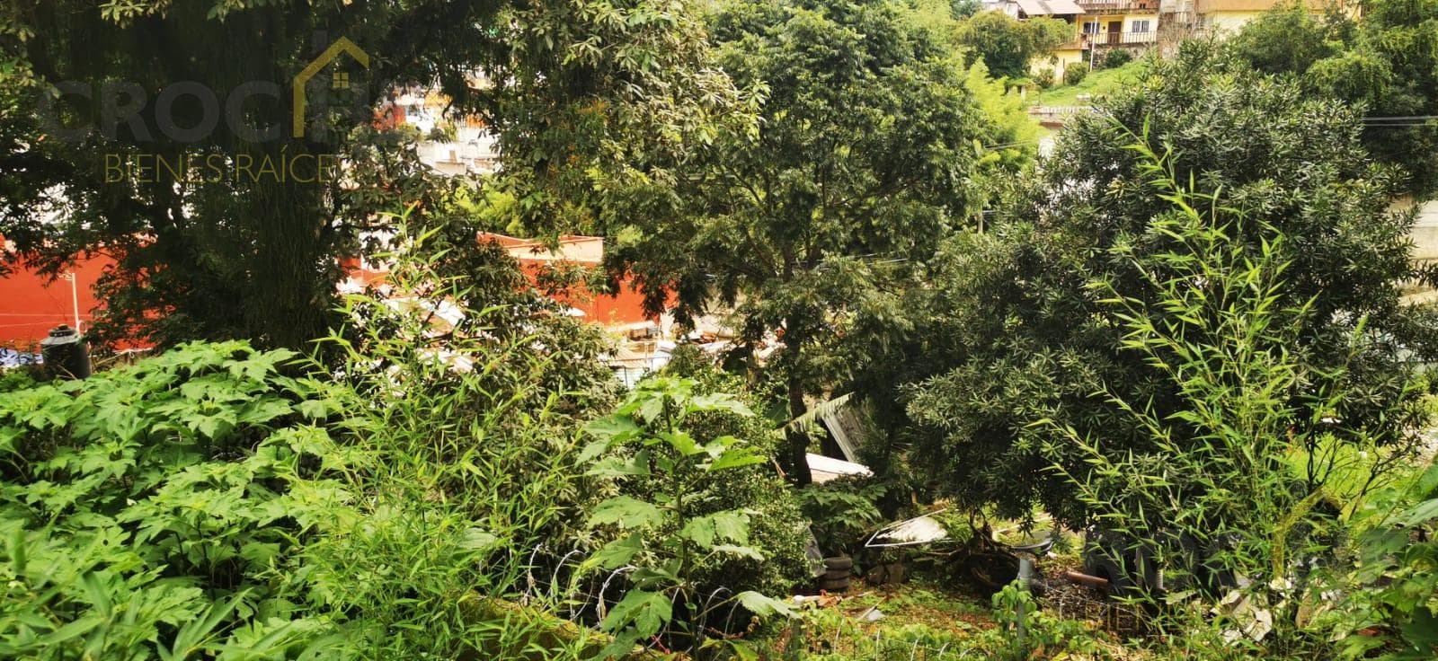 LAND FOR SALE IN COLONIA ARROYO BLANCO, XALAPA, VERACRUZ