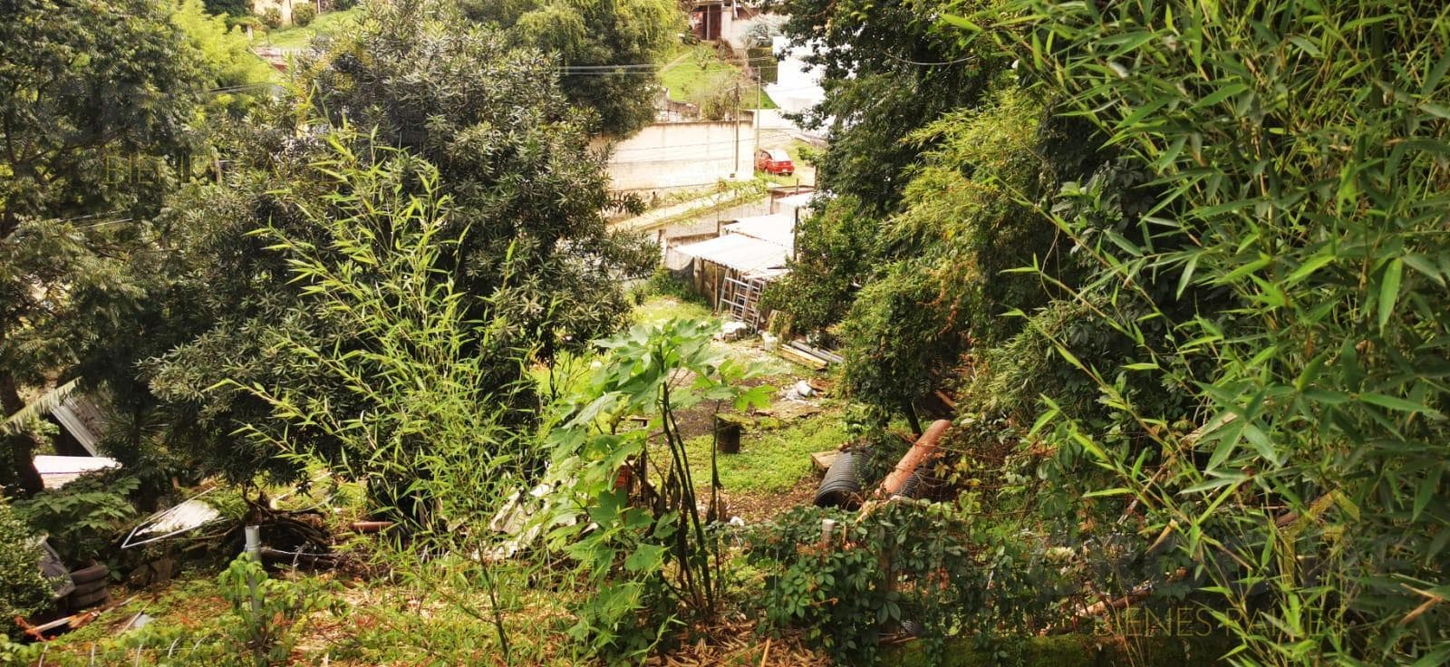 LAND FOR SALE IN COLONIA ARROYO BLANCO, XALAPA, VERACRUZ