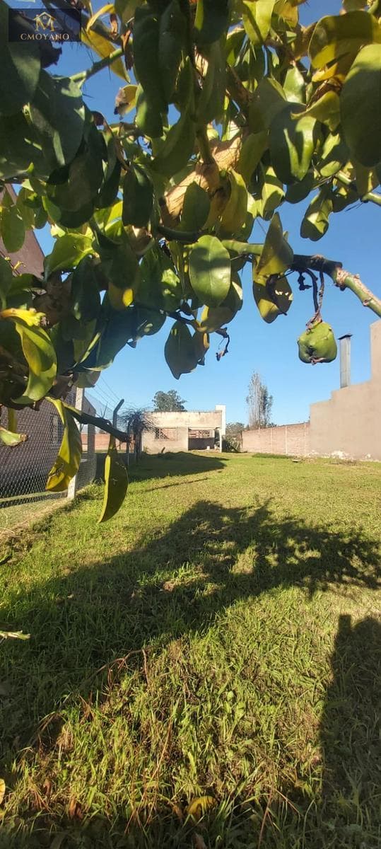 Yerba Buena Lot