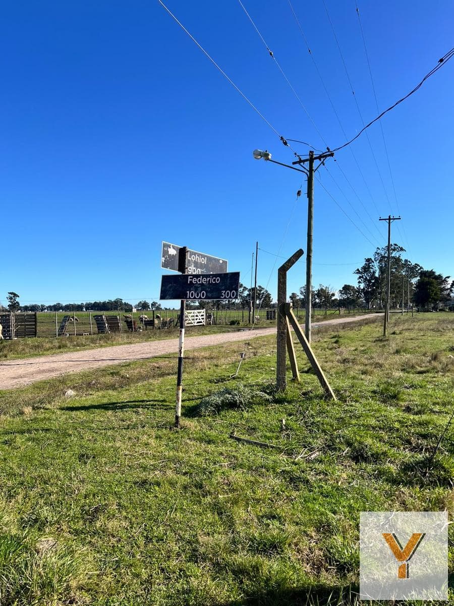 Land for Sale - - 4,200 m - Mar del Plata