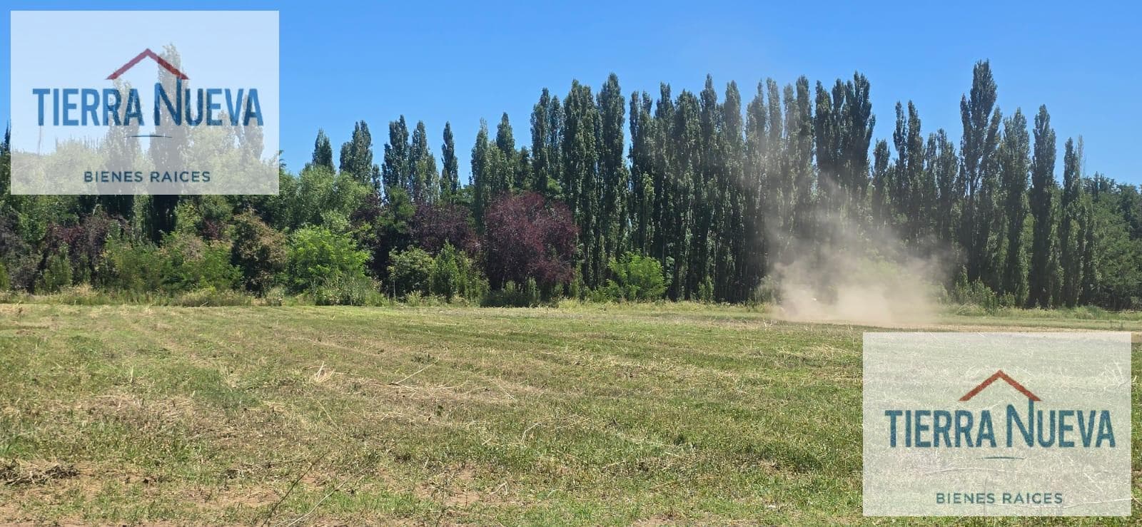 COSTA RIO LIMAY PLOTTIER FARM