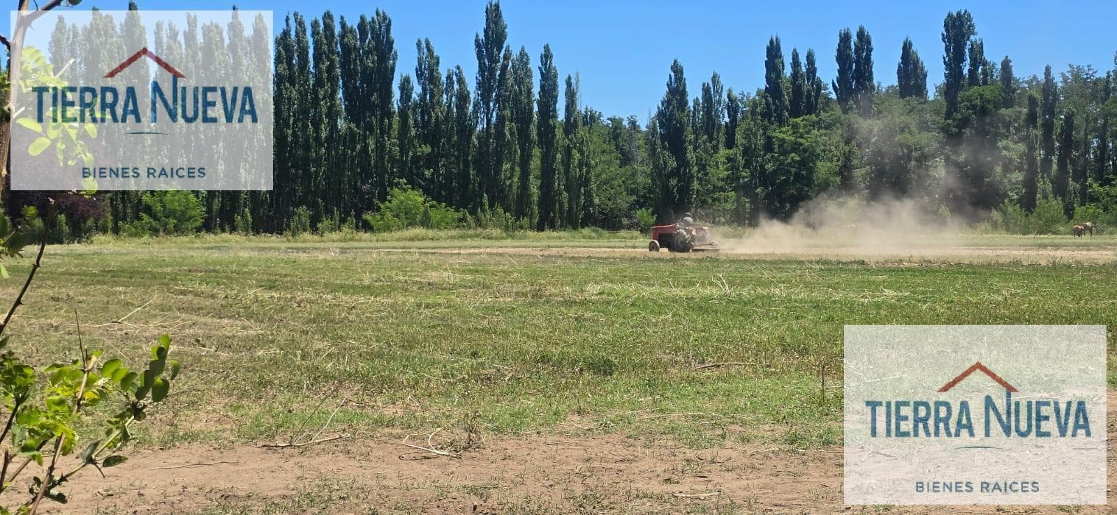 COSTA RIO LIMAY PLOTTIER FARM