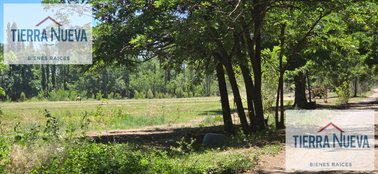 COSTA RIO LIMAY PLOTTIER FARM