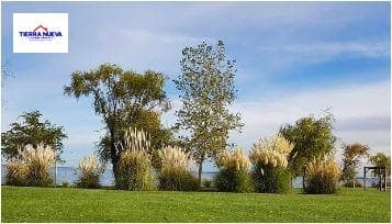 Land in Mari Menuco
