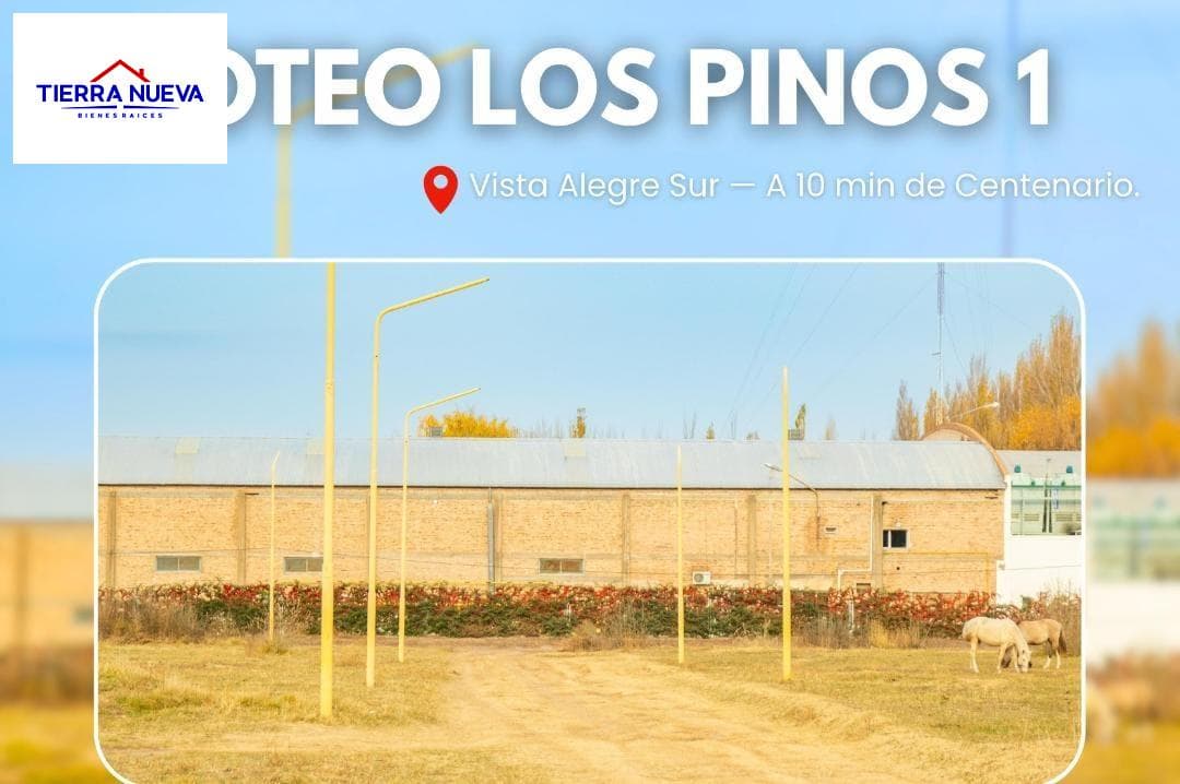 Lot in Vista Alegre Norte
