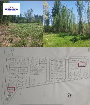 Land in Cipolletti