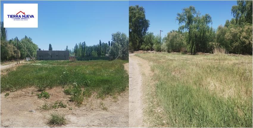Land in Cipolletti