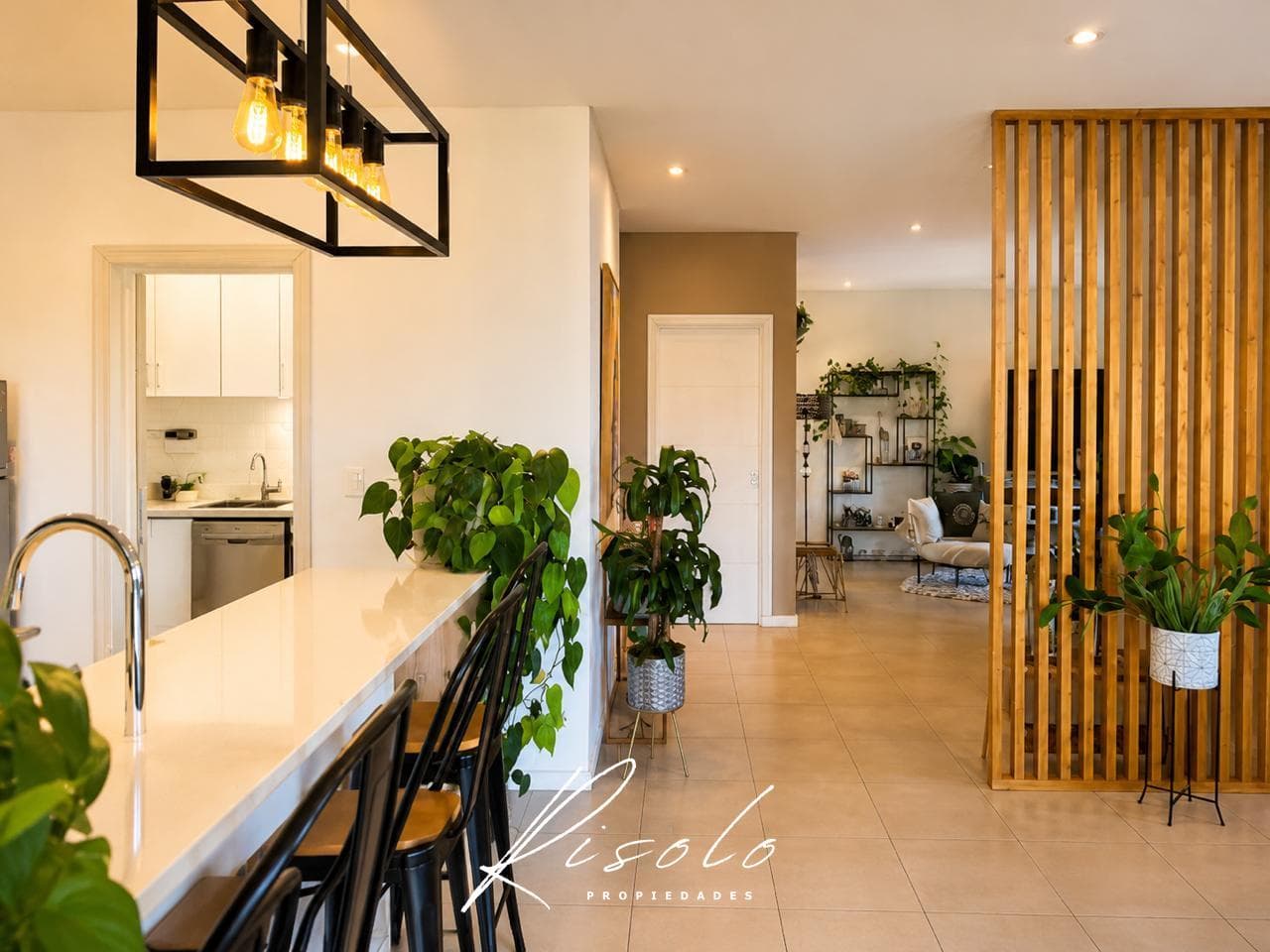 Santa Lucía - Pilar del Este - Modern house with a garden, pool, and terrace