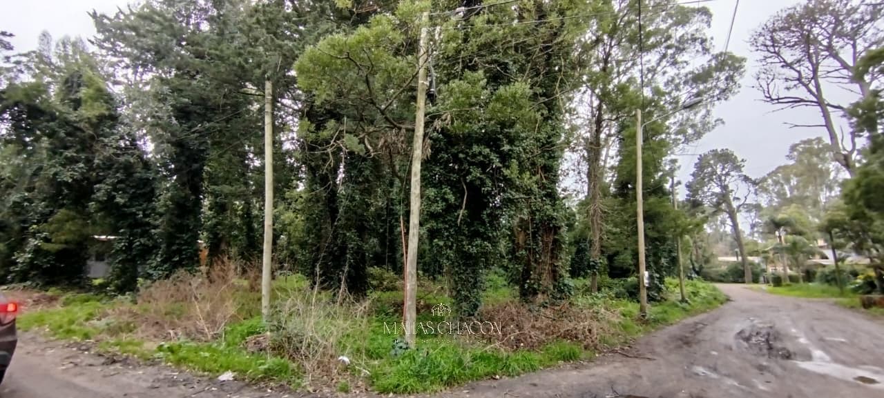 Excellent Plot of Land in Bosque Peralta Ramos