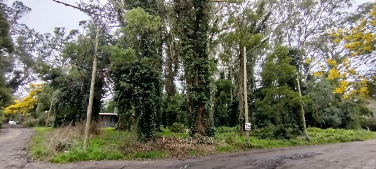 Excellent Plot of Land in Bosque Peralta Ramos