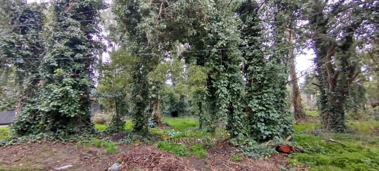 Excellent Plot of Land in Bosque Peralta Ramos