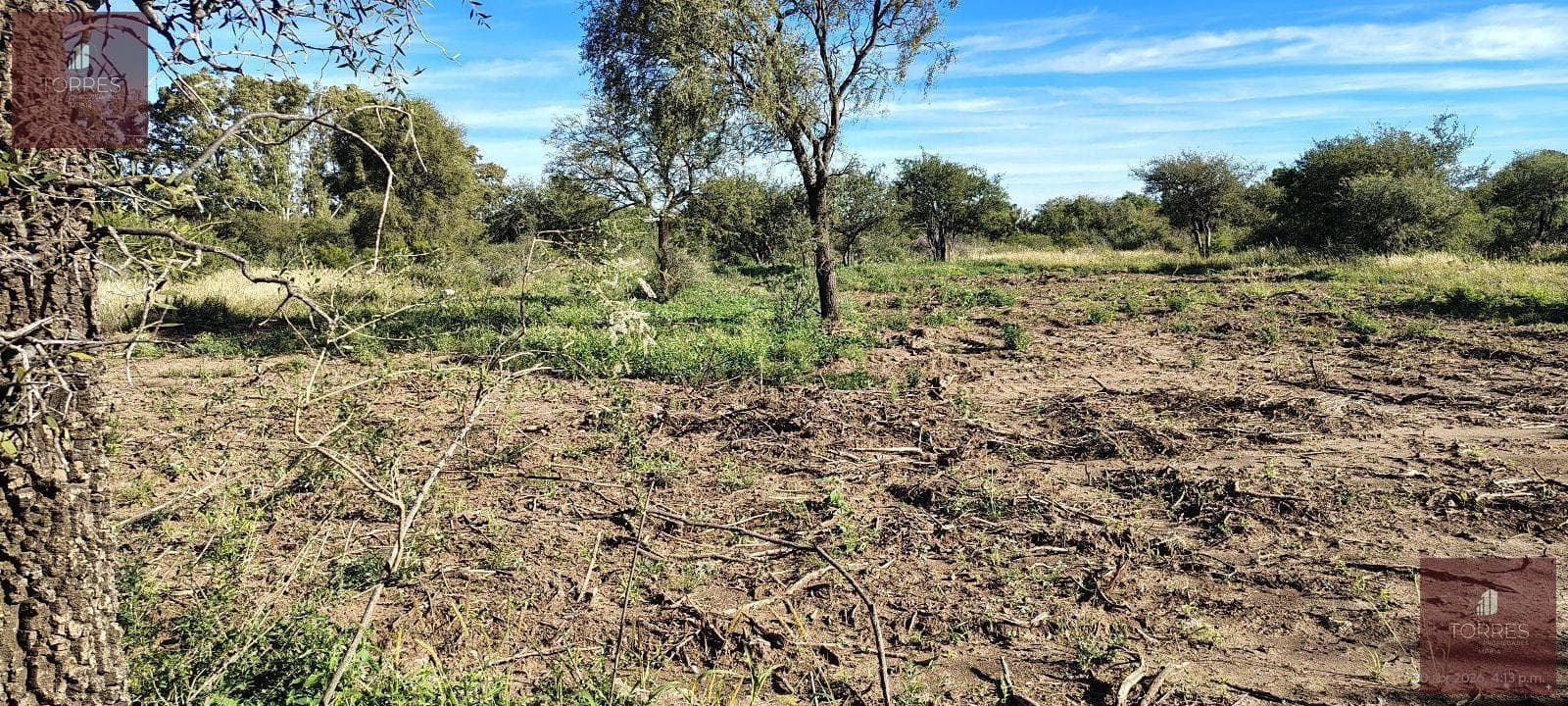 Land in Nogoli
