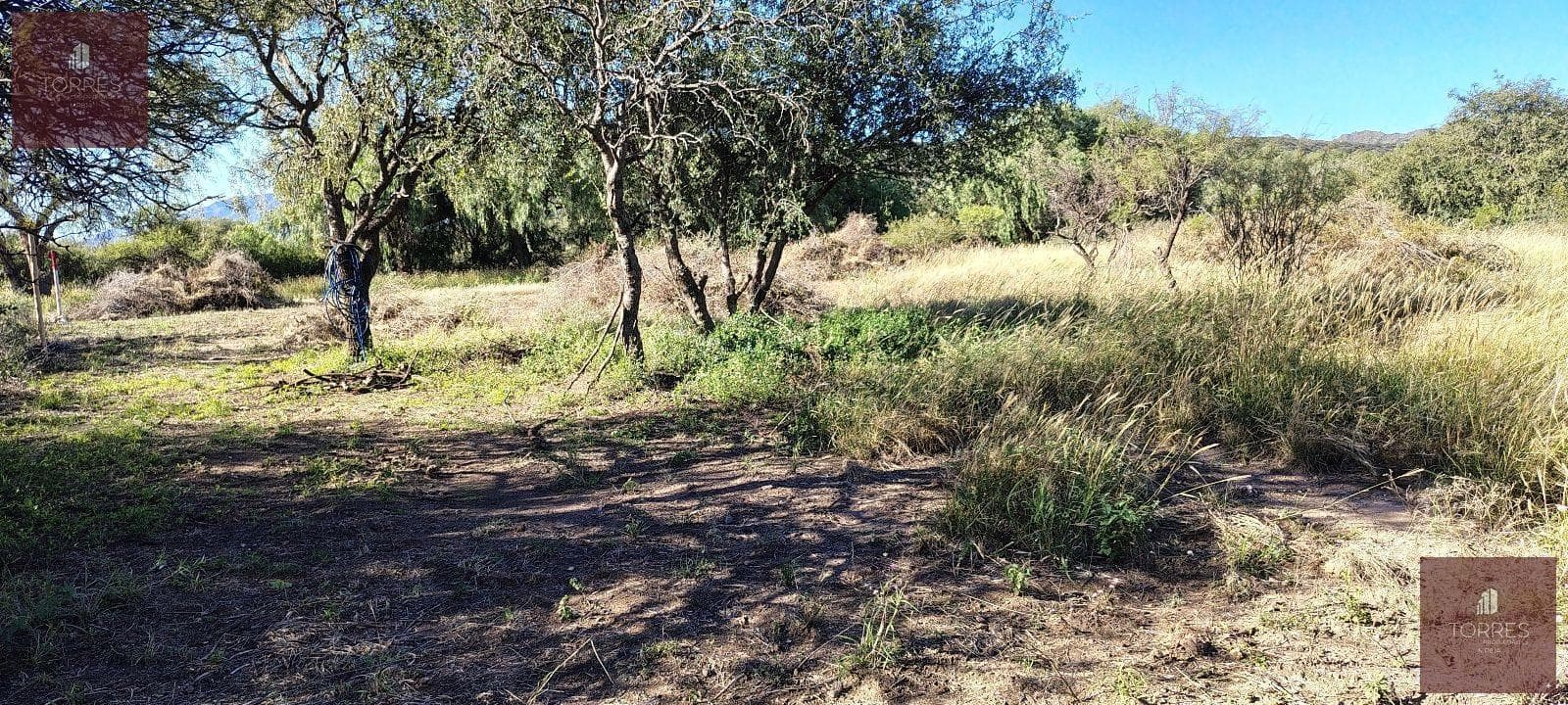 Land in Nogoli