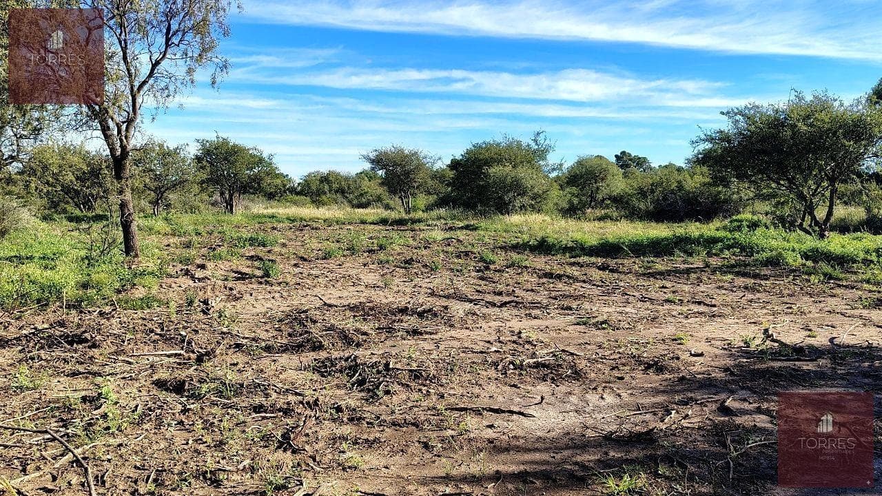 Land in Nogoli