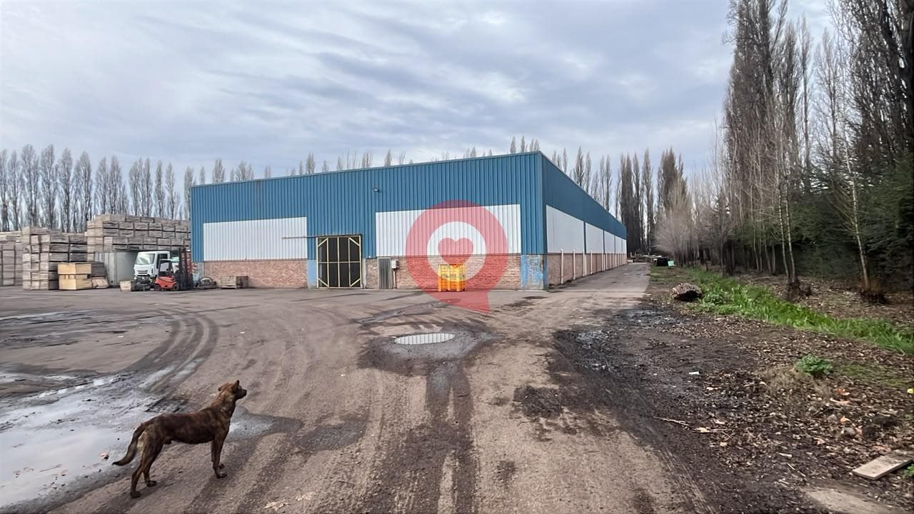 Warehouse for Rent in Centenario