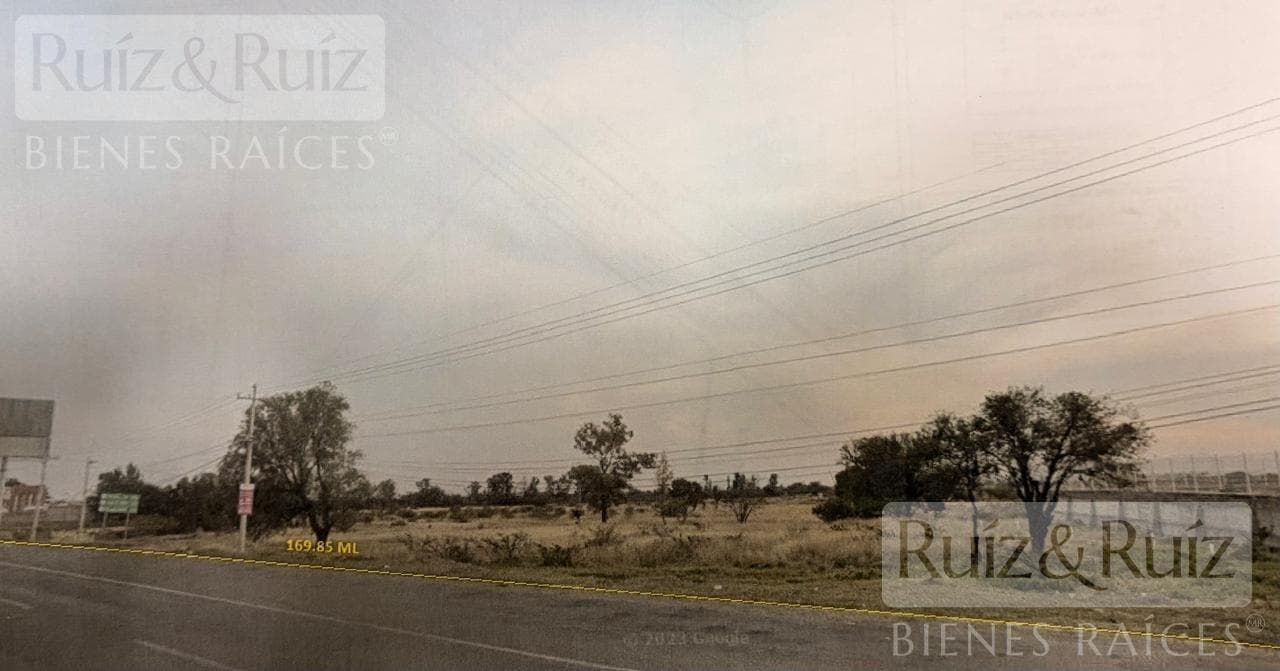 Land in Silao