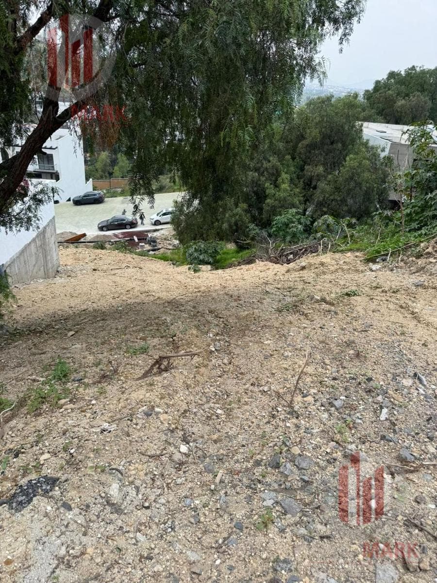 Land for Sale in Bellavista