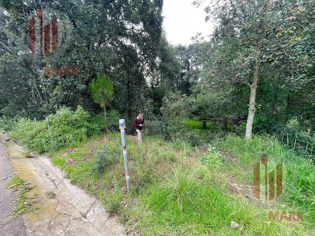 Land for Sale in Jilotzingo