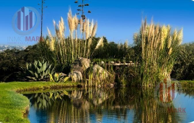 Land for Sale in Rancho San Juan, Esmeralda Area