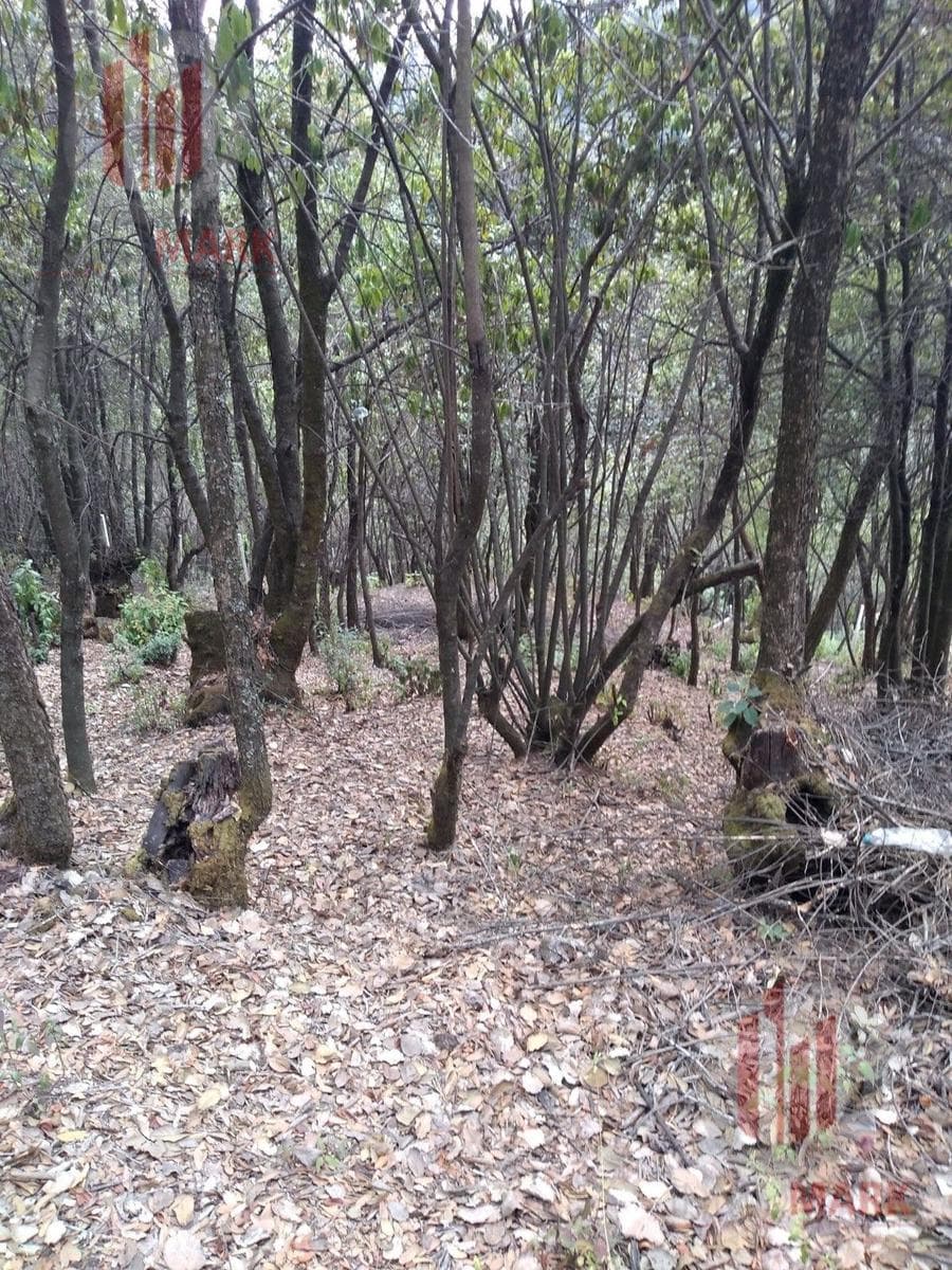 Land for Sale in Santa Ana Jilotzingo