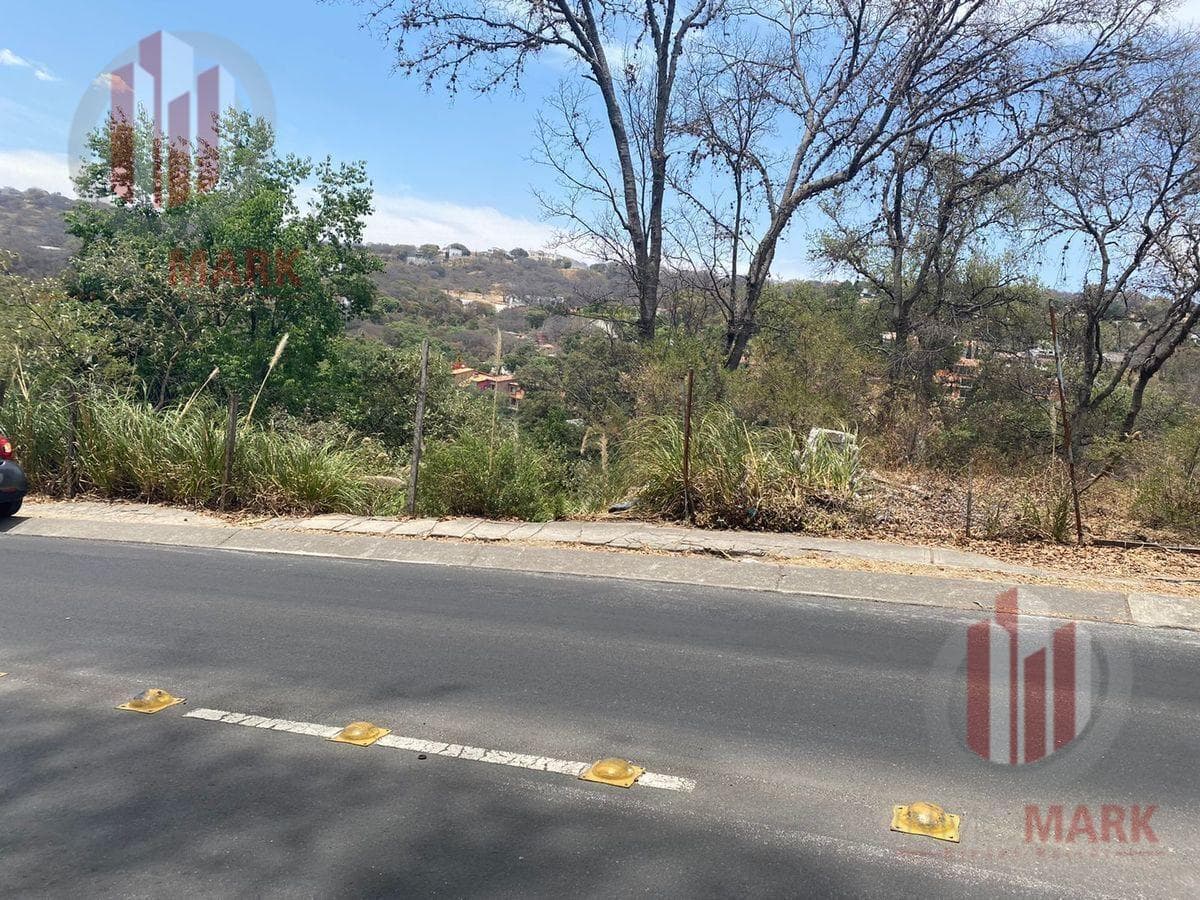 Land for Sale in Sayavedra County