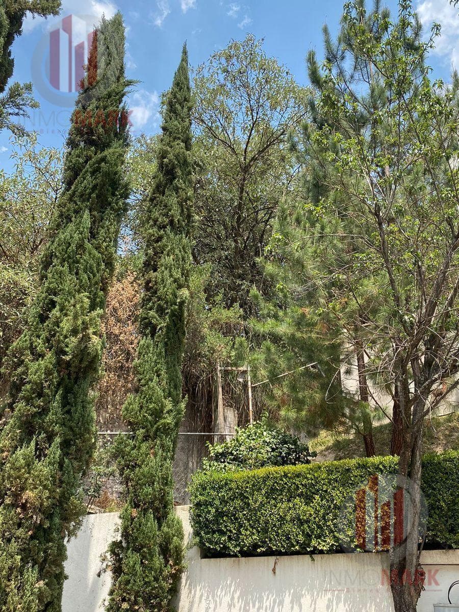 Land for Sale in Sayavedra County