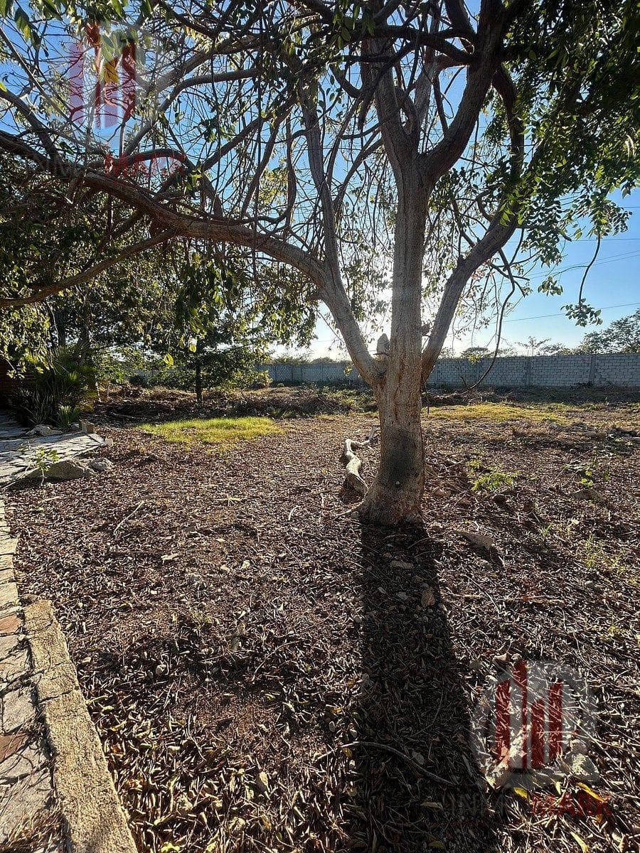 Land for Sale in Villas Cholul, Mérida, Yucatán