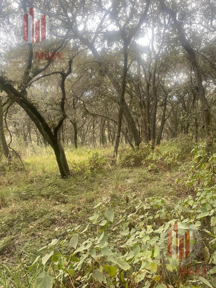 Land for Sale in Jilotzingo—Don't Miss This Opportunity!!