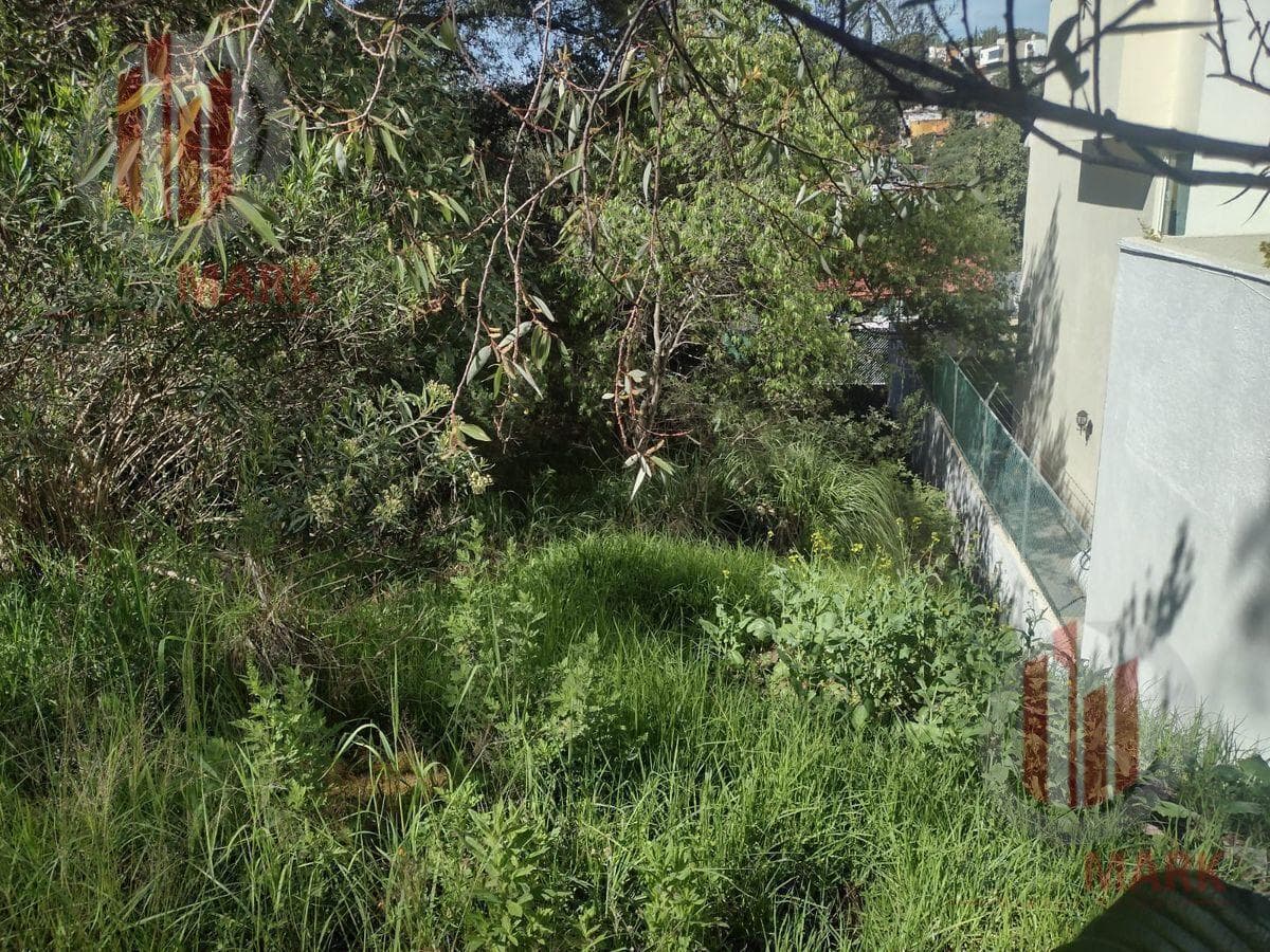 Land for Sale in Sayavedra