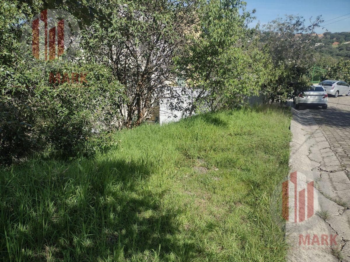 Land for Sale in Sayavedra