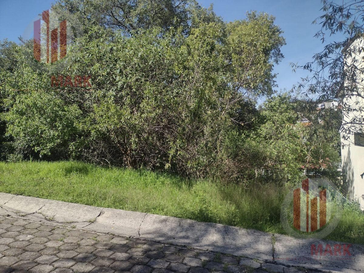 Land for Sale in Sayavedra