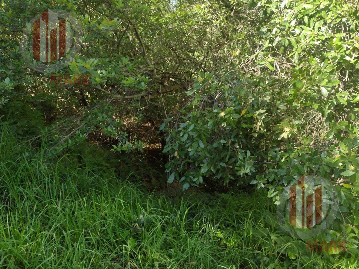 Land for Sale in Sayavedra