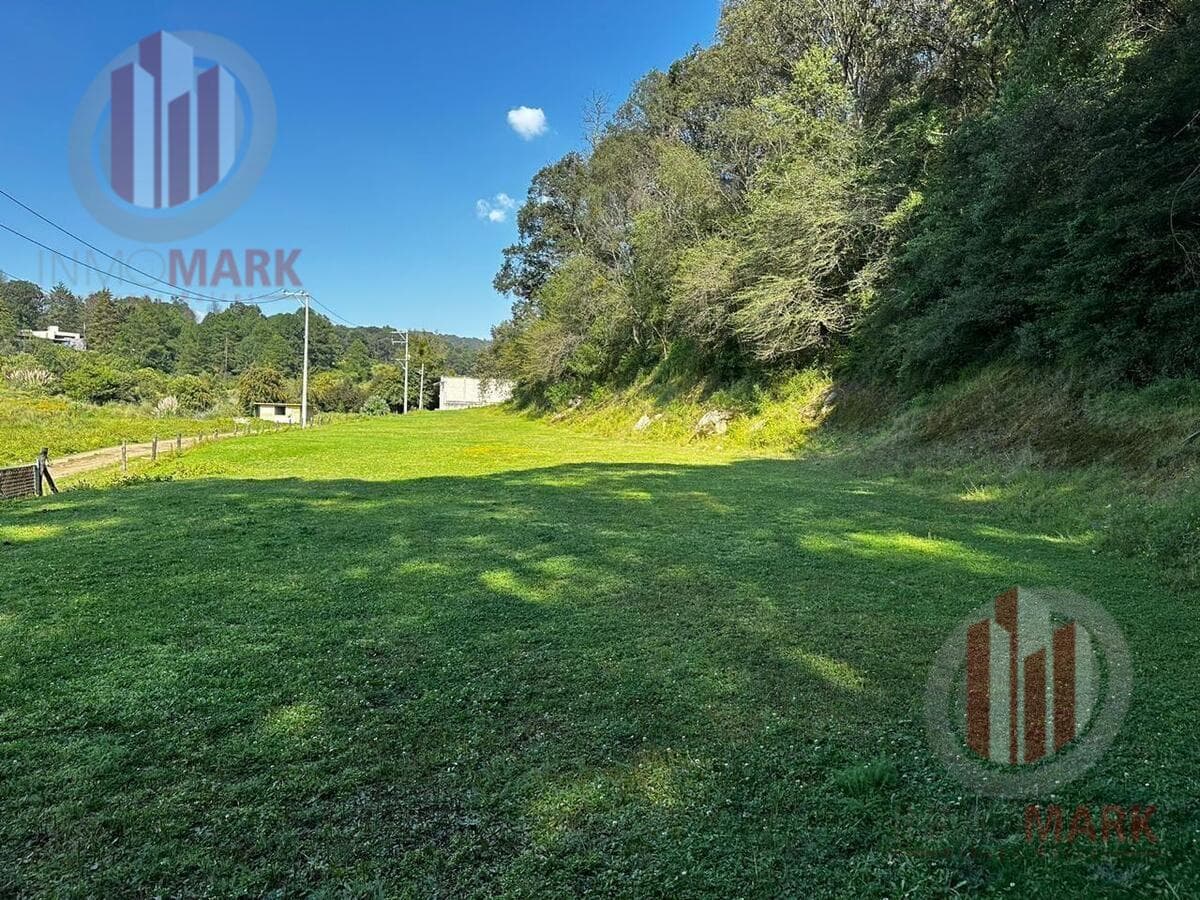 Land for Sale in Jilotzingo