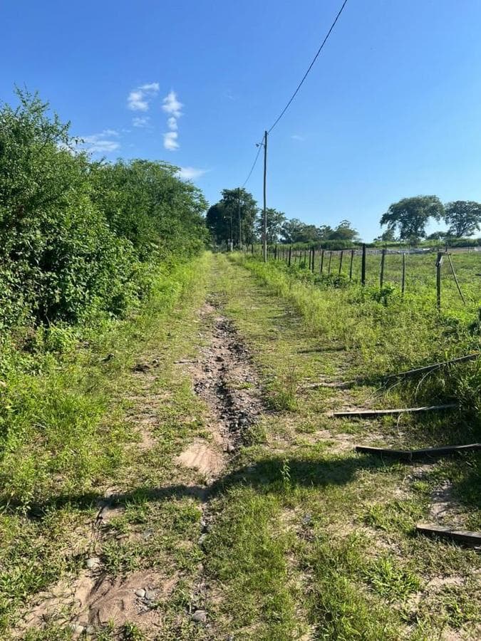 IMPORTANT: 1 AND 3 HECTARES OF LAND IN LAS TALITAS
