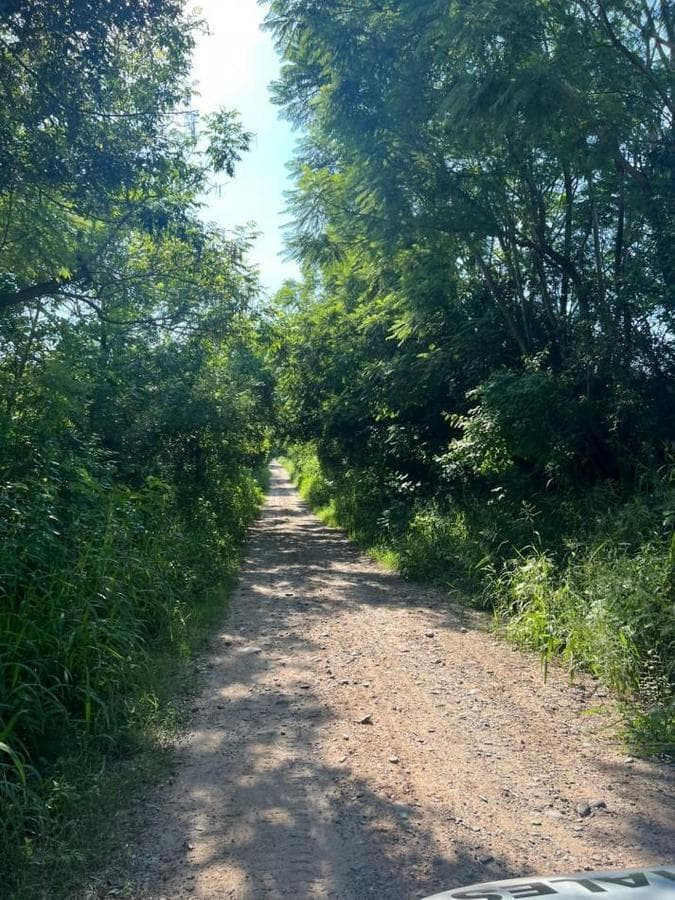 IMPORTANT: 1 AND 3 HECTARES OF LAND IN LAS TALITAS