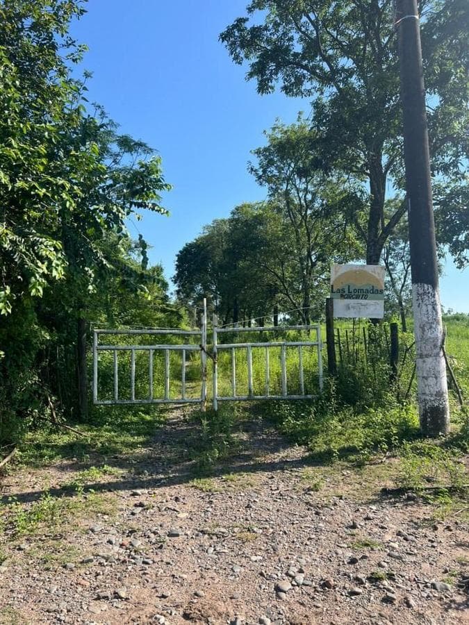 IMPORTANT: 1 AND 3 HECTARES OF LAND IN LAS TALITAS
