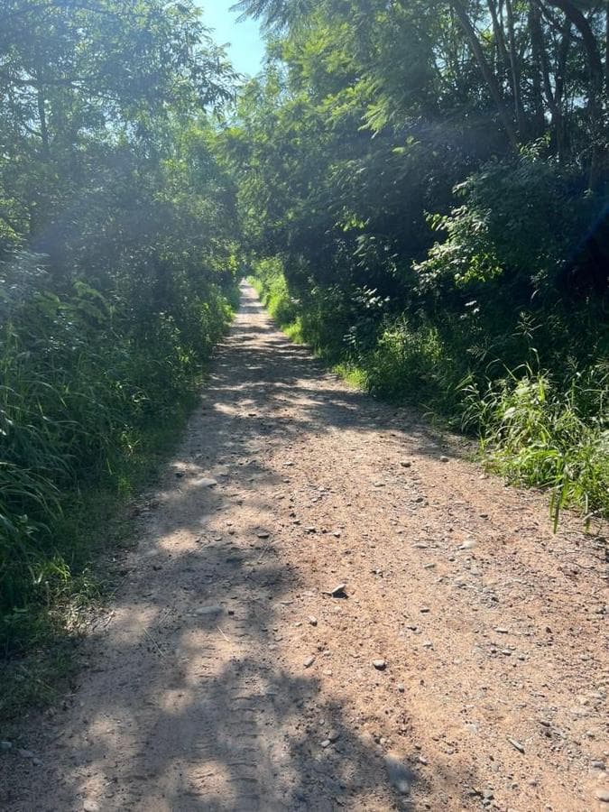 IMPORTANT: 1 AND 3 HECTARES OF LAND IN LAS TALITAS