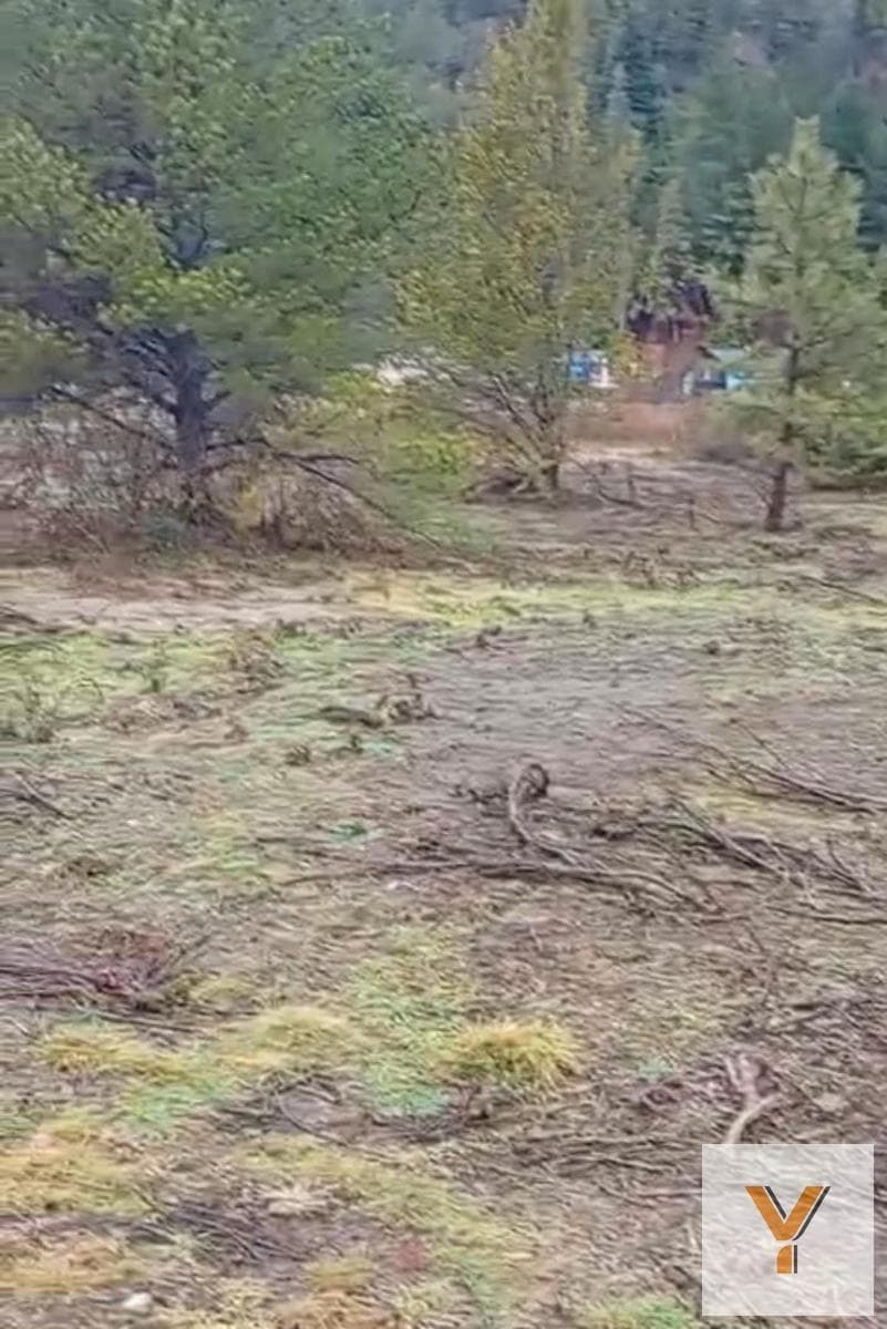 Land for Sale - - 200 meters - Cushamen - Lago Puelo