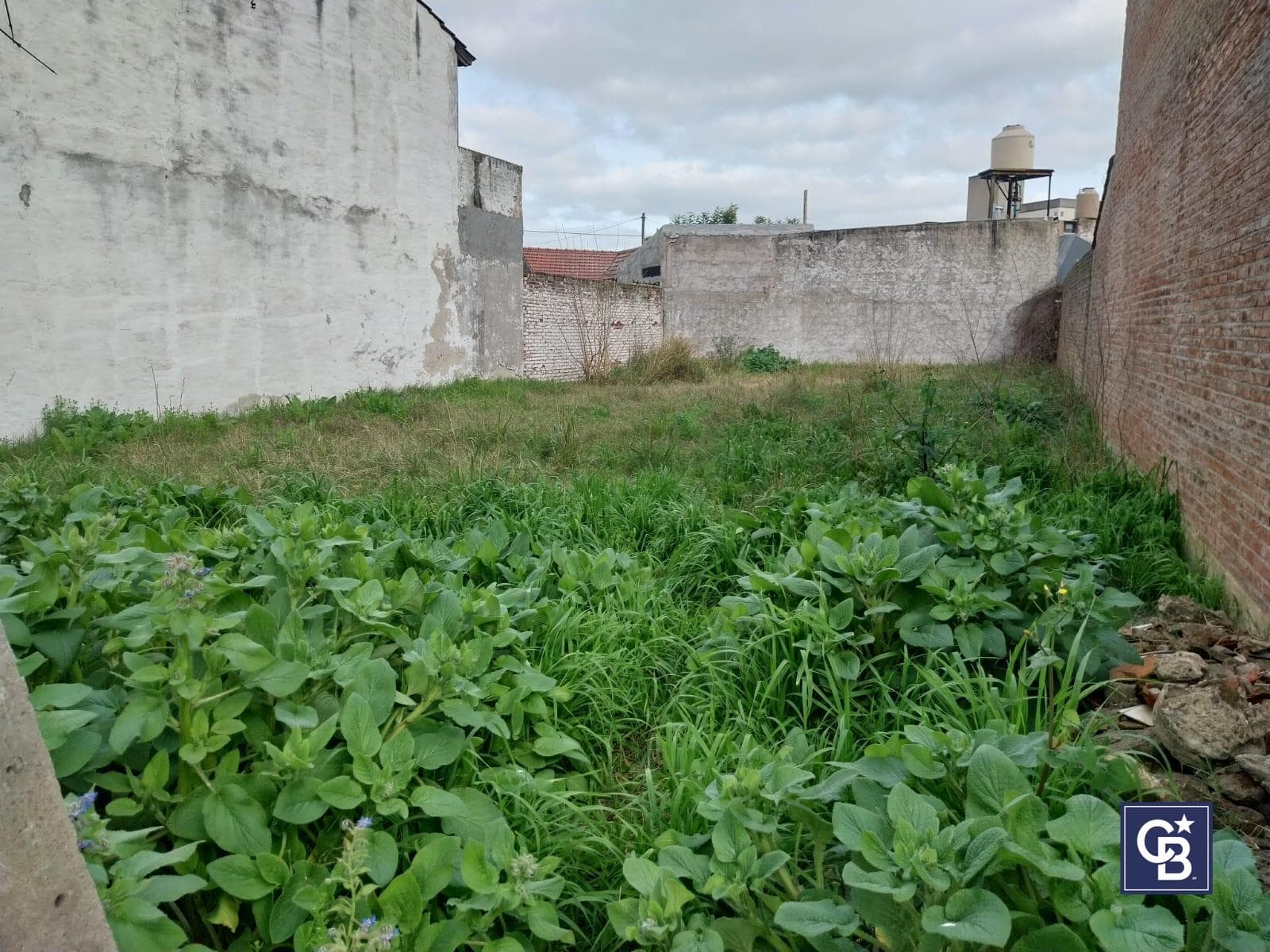 Real Estate Development Opportunity: Commercial Lot for Sale, UR1 Zoning, in Downtown Pilar