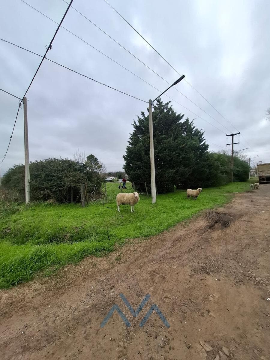 Venta Lote 640 m² en M. Ocampo, Pergamino, Buenos Aires