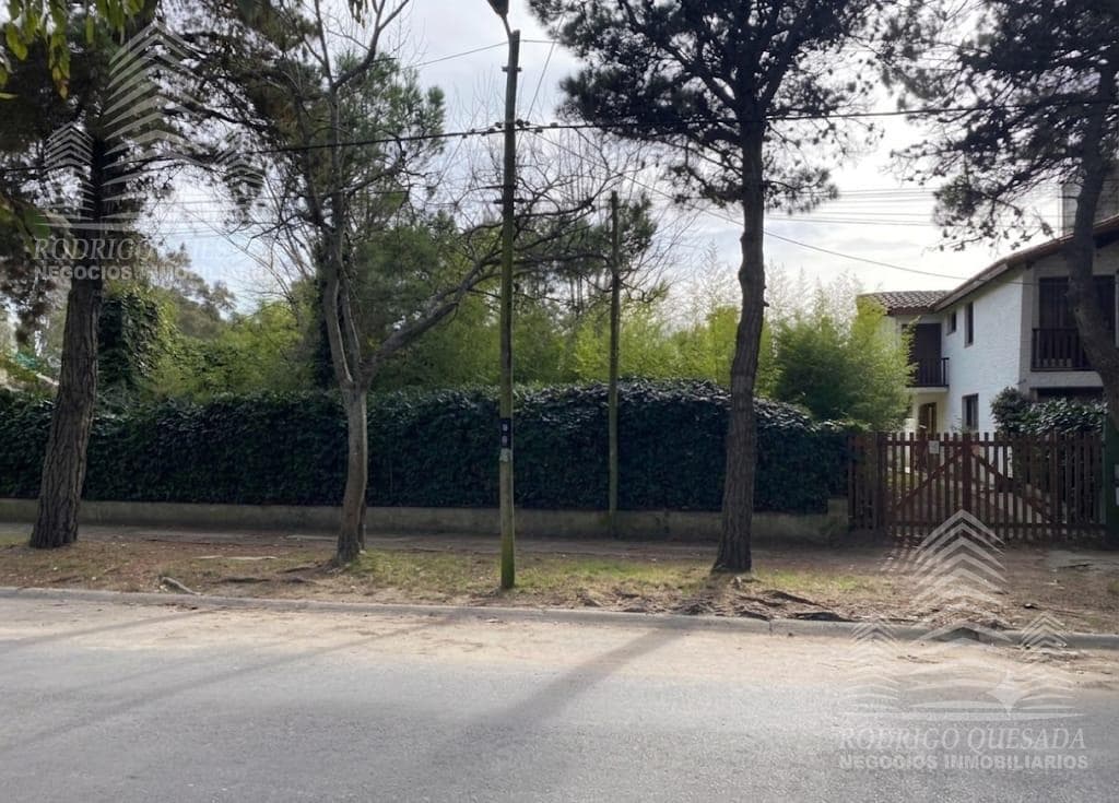 Lote is the center of San Bernardo
