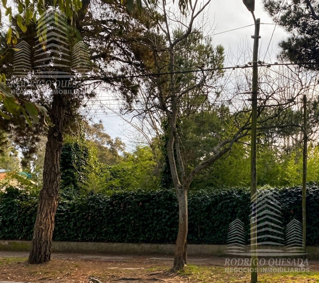 Lote is the center of San Bernardo