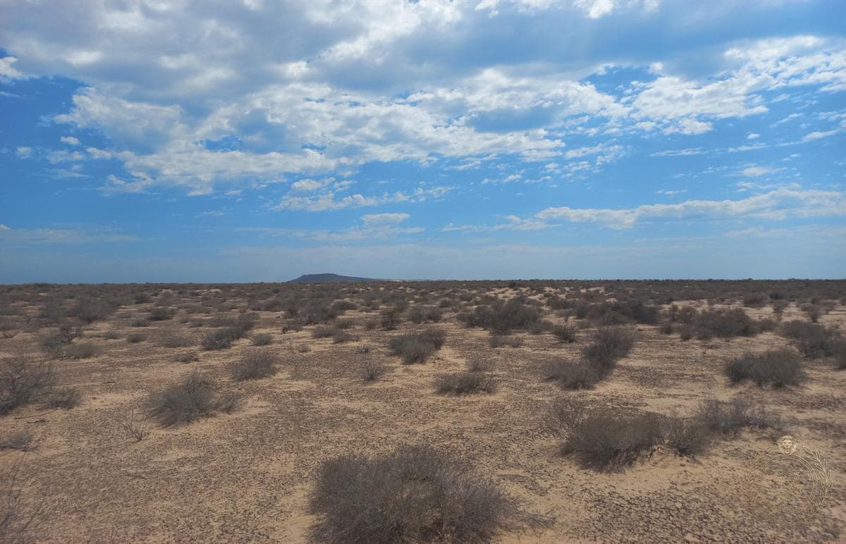 9.8-hectare lot for sale in Ejido Las Lágrimas, Puerto Peñasco