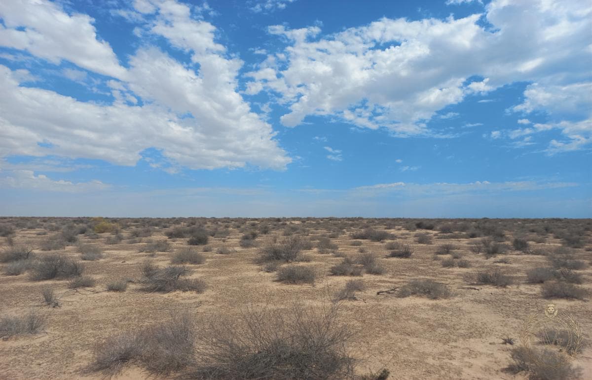 9.8-hectare lot for sale in Ejido Las Lágrimas, Puerto Peñasco