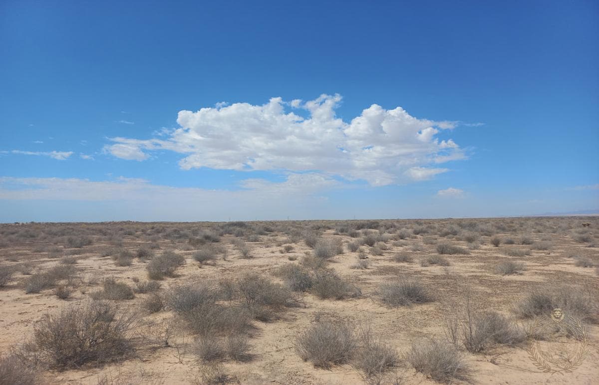 9.8-hectare lot for sale in Ejido Las Lágrimas, Puerto Peñasco