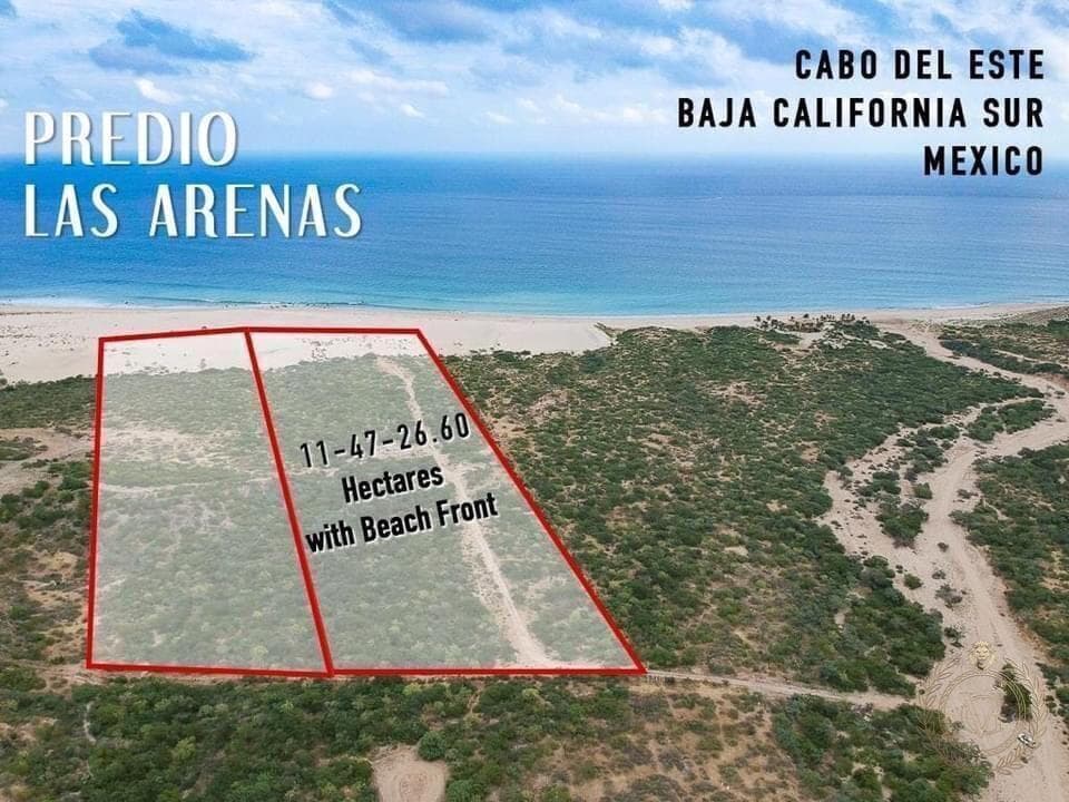 LAND FOR SALE: INVESTMENT OPPORTUNITY IN BOCA DE SALADO
